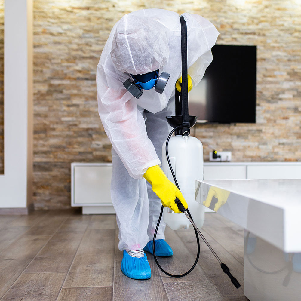Licensed exterminator offering pest control in Pasadena, MD