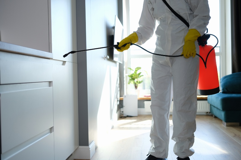 Pest Control Services in Baltimore County, MD