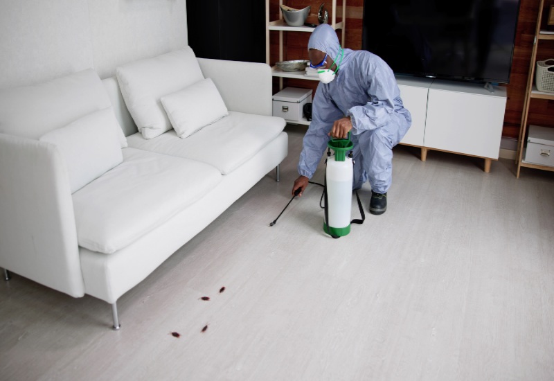 An expert from Bug Geeks Pest Control is providing general pest control service in Pasadena, MD