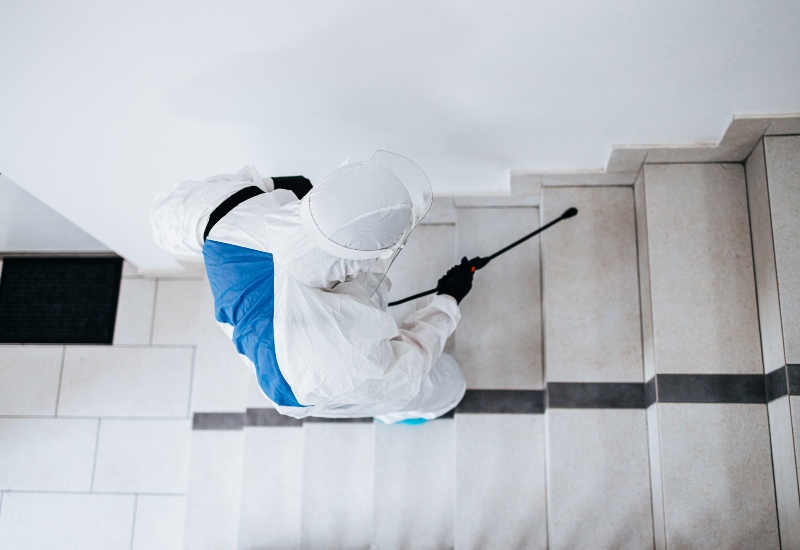 Bug Geeks Pest Control team is providing residential pest control service in Pasadena, MD