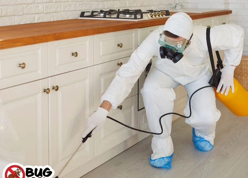 How Pests Spread Through Multi-Unit Buildings and How to Stop Them